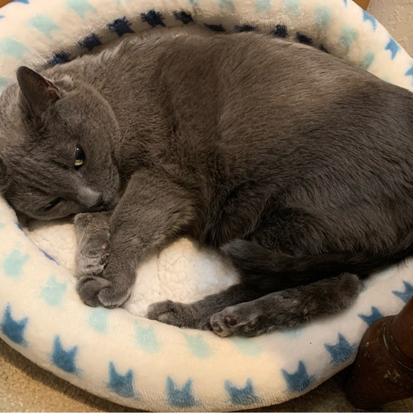 Meet your Posher, Sherry - Picture 7 of 11